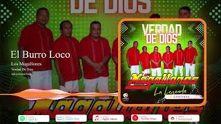 El Burro Loco - Los Magallones - Odisa Global Music