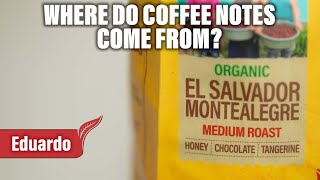 Where do Coffee Notes come from ⏳ 30 Second Coffee Facts
