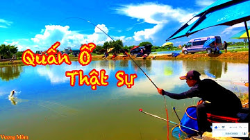 Câu Cá Rô Phi Hồ Dịch Vụ Chia Sẻ Kinh Nghiệm Câu Đài Cùng Các Bạn Mới Tập Câu