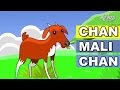 Alif & Mimi - Chan Mali Chan (Animasi 2D) Lagu Kanak Kanak