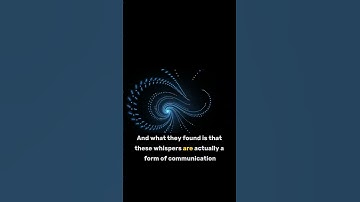 Black Holes Mysteries Unveiled