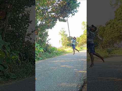 Watch Until the End! The Civet in the Tree Has Been Captured #nature #shortvideo #viral #fyp thumbnail
