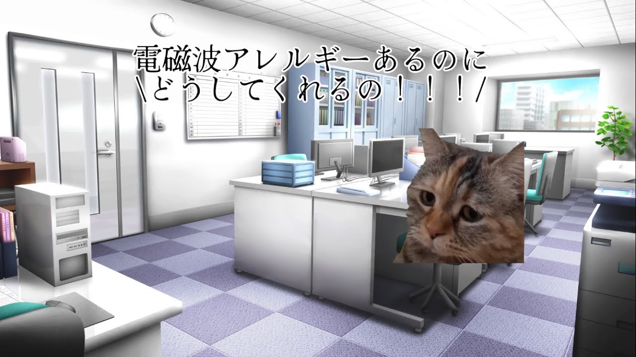 【猫ミーム】コールセンターで3年間働いてた時の話し