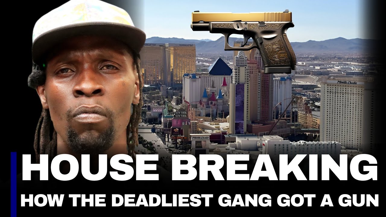 INSIDE HEIST : How The Toughest Gang Beat Electric Fences and Dogs to Steal From The Richest Homes