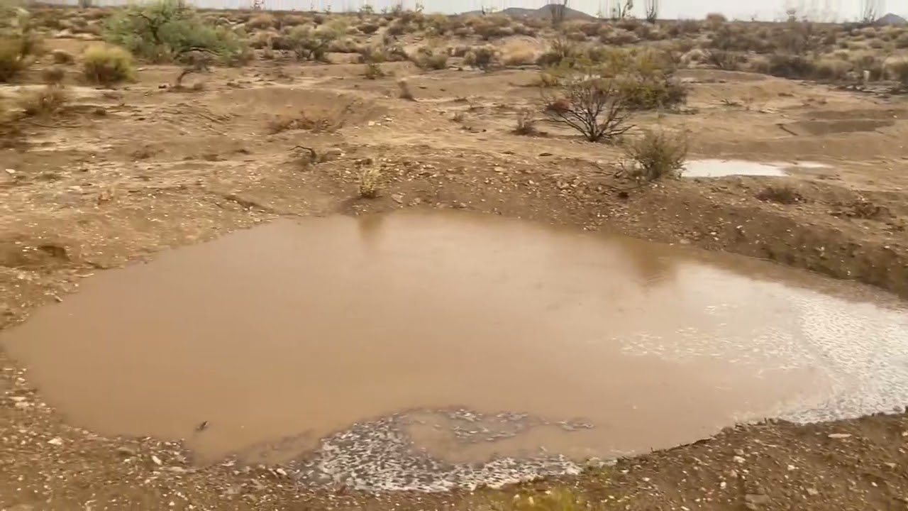 Turning Rain Into Resilience – Water Harvesting in the Desert.