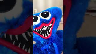 Huggy Wuggy Vs Chica