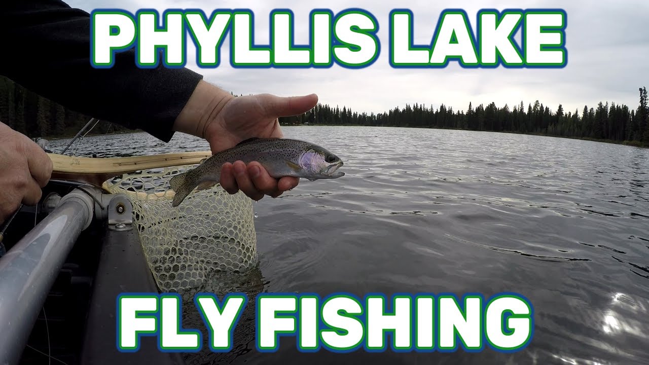 PHYLLIS LAKE ║ FLY FISHING - YouTube