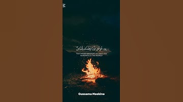 قرآن كريم راحة نفسية 🤍😊 #اكسبلور #قرآن #quran