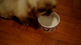 CIMG1119.AVI