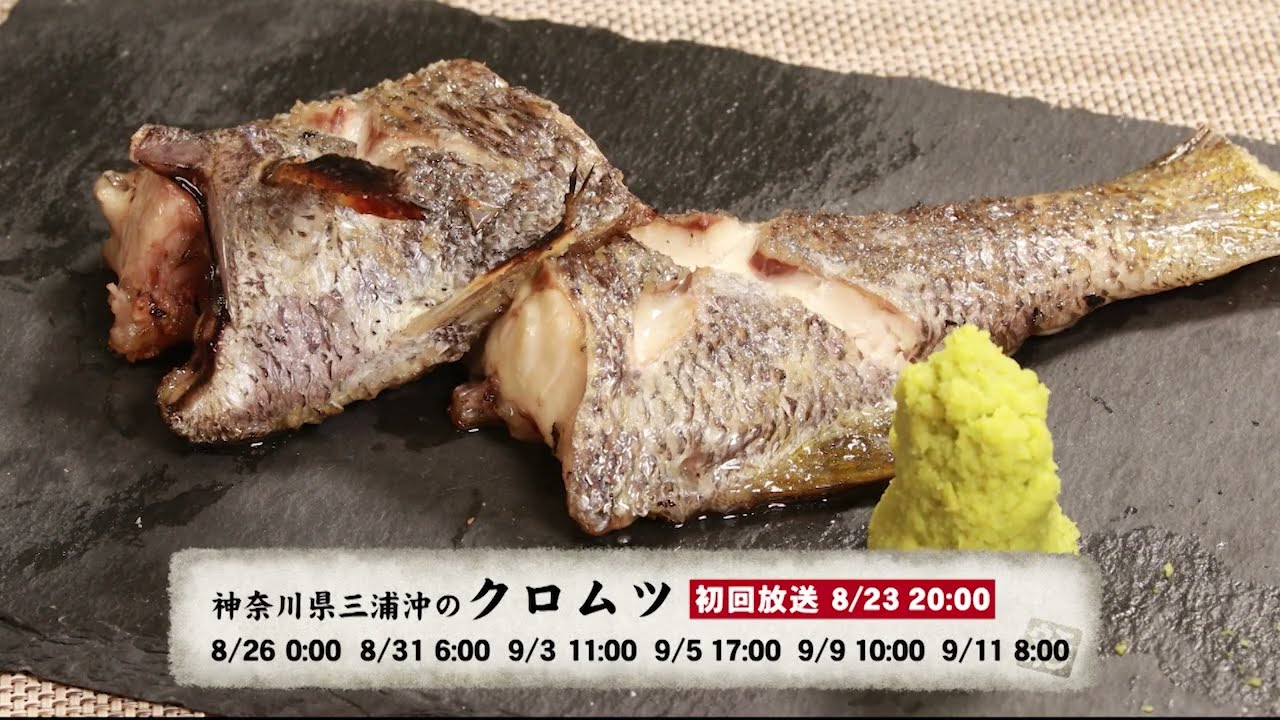 YouTube_3EP3hgtUp40サムネイル