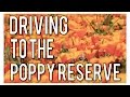 Driving to the Antelope Valley Poppy Reserve