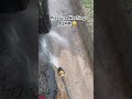 Listen to this Pressure Washing ASMR?? 🔊🫧💦😅 #dfw #pressurewashing #asmr #satisfying #fyp