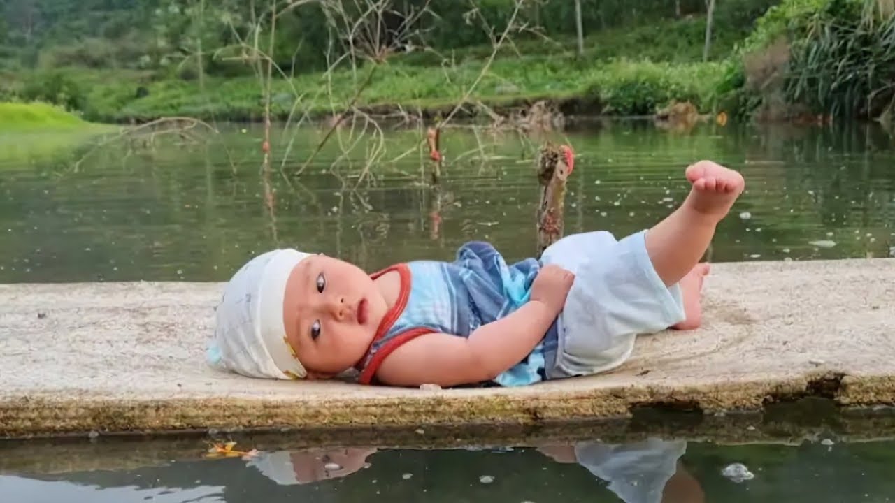 FULL VIDEO: 120 DAYS OF HARVESTING NATURAL FRUIT TO SELL AT THE MARKET Lý Thị Đào