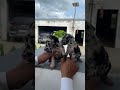 Untitled video