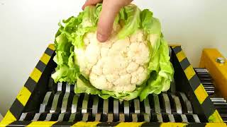 شاهد سحق الخضار      ان اعجبك اضغط على زر الاشتراك لنستمر screenshot 1