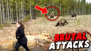 The Most BRUTAL Bear Attacks MARATHON!