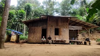 Merinding ‼️ Tinggal Berdua Di Rumah Tengah Hutan dan Sering Di Teror Mahluk Halus Dan Hewan Buas