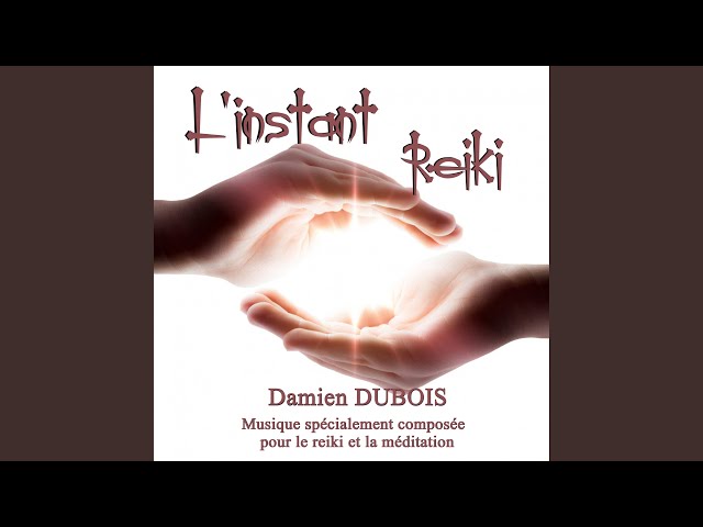 Damien Dubois - Reiki 6