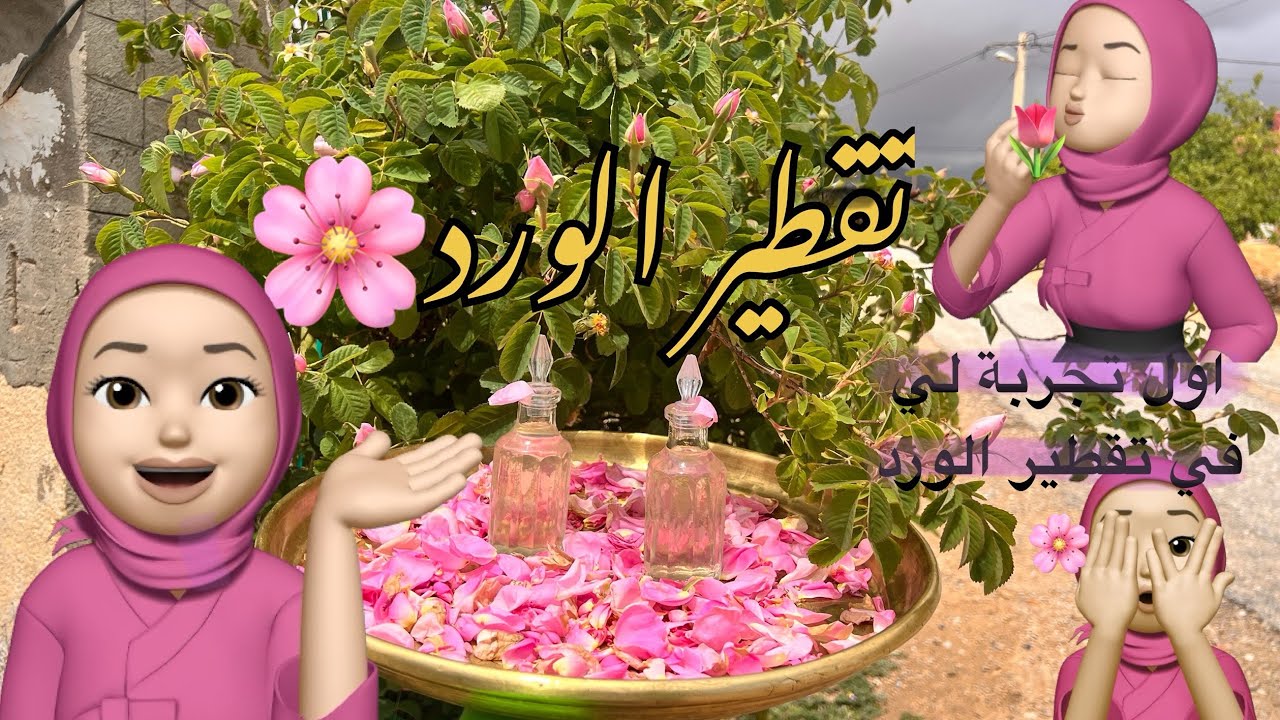 اسهل طريقة لتقطير الورد🌸 باواني موجودة في كل البيت _ اول تجربة لي في تقطير و كانت ناجحة
