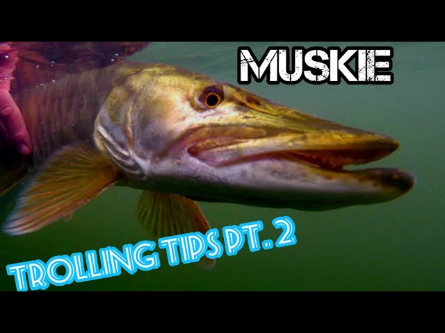 Musky Trolling TIPS - Speed - Drag - When & Where!?!?