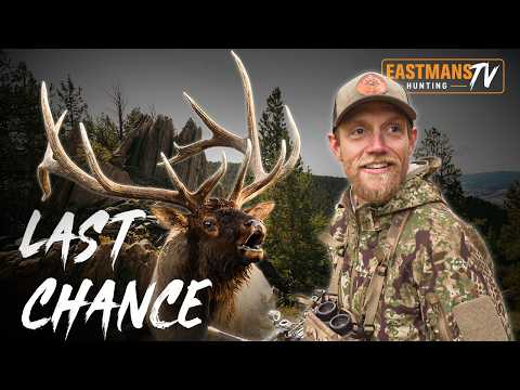 You Won't Believe this Bull! | Public Land Elk Hunt | Eastmans Hunting TV