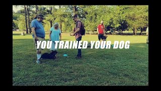 Hard work pays off! by Intelligent K9 Dog Training 40 views 1 year ago 1 minute