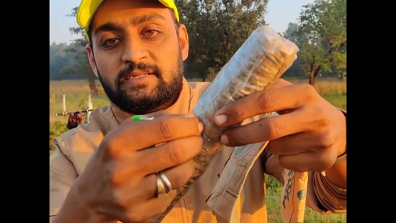 Diwali special, 1st Experiment Successful With 17 Top Tiger Boom
