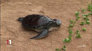 Svet na dlanu: Šri Lanka, 2. deo