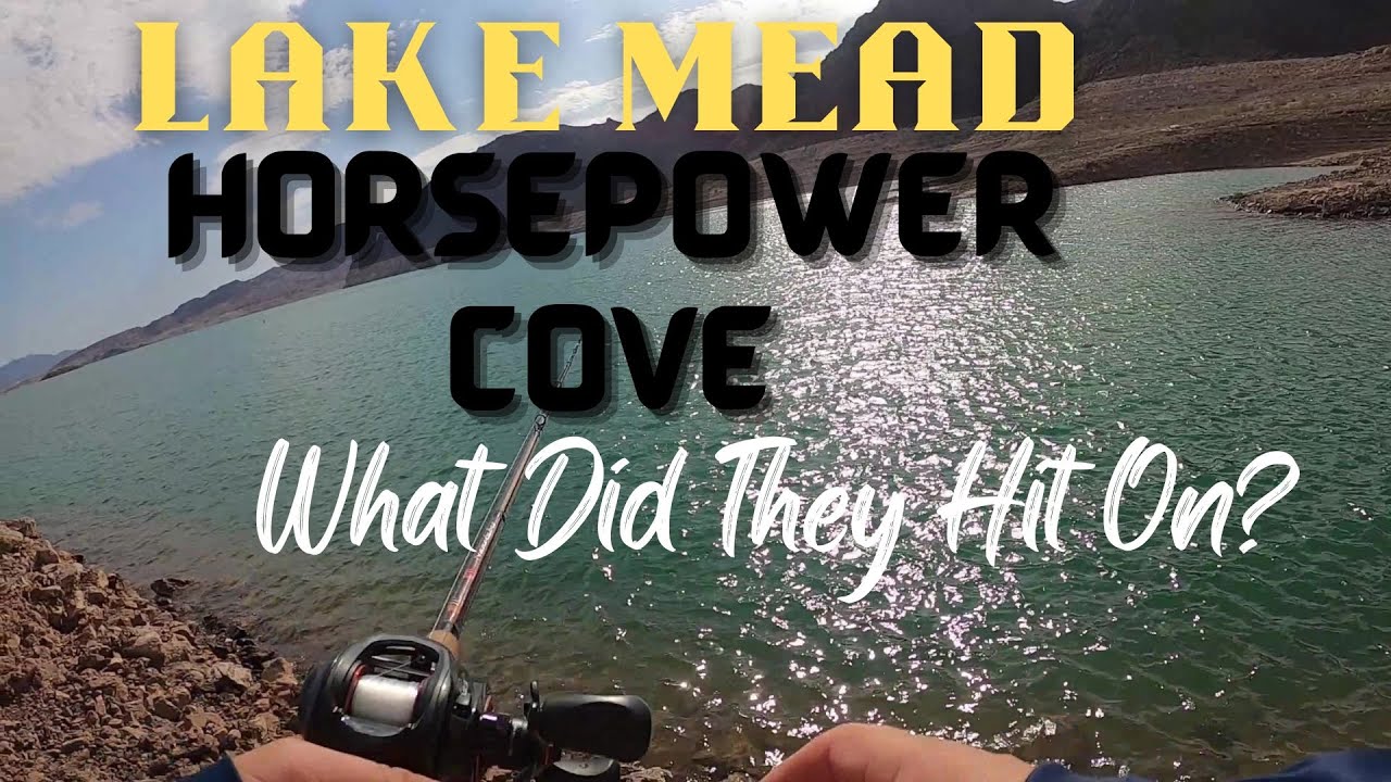 Fishing Lake Meads Horsepower Cove. What got us on some fish? YouTube