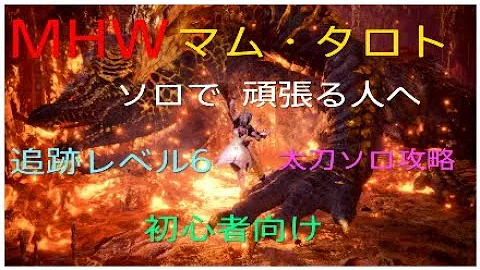 تحميل マムタロト 追跡レベル ソロ Mp4 Mp3