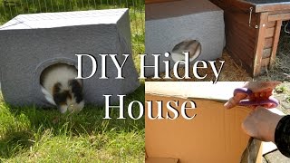 DIY ANIMAL HIDEY HOUSE/TOY - 5 MINUTES, NO SEW | Imy'sAnimal