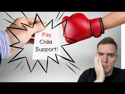 child custody lawyer fort myers