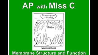 Miss Cote's AP Biology Class - Membrane Structure and Function