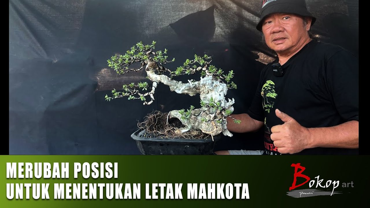MERUBAH POSISI UNTUK MENENTUKAN LETAK MAHKOTA