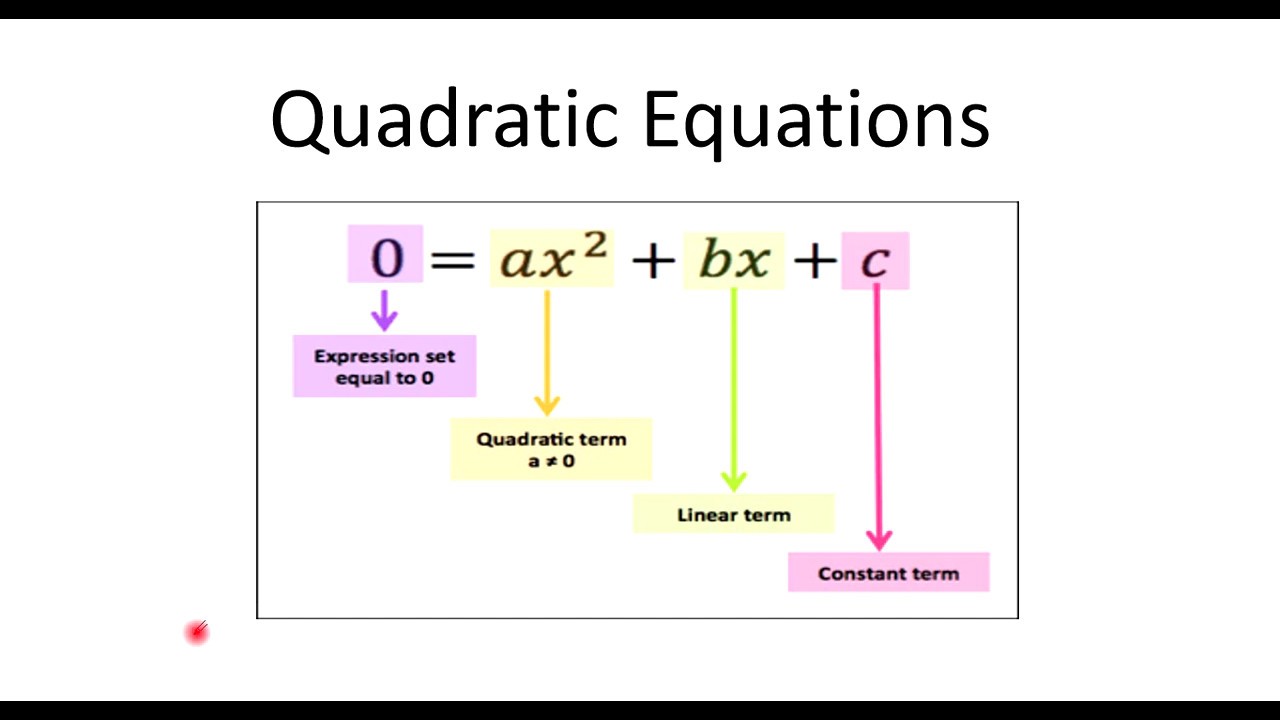 case study class 10 quadratic equation