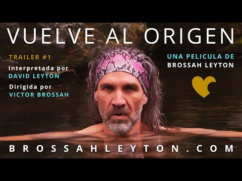 BACK TO THE ORIGIN