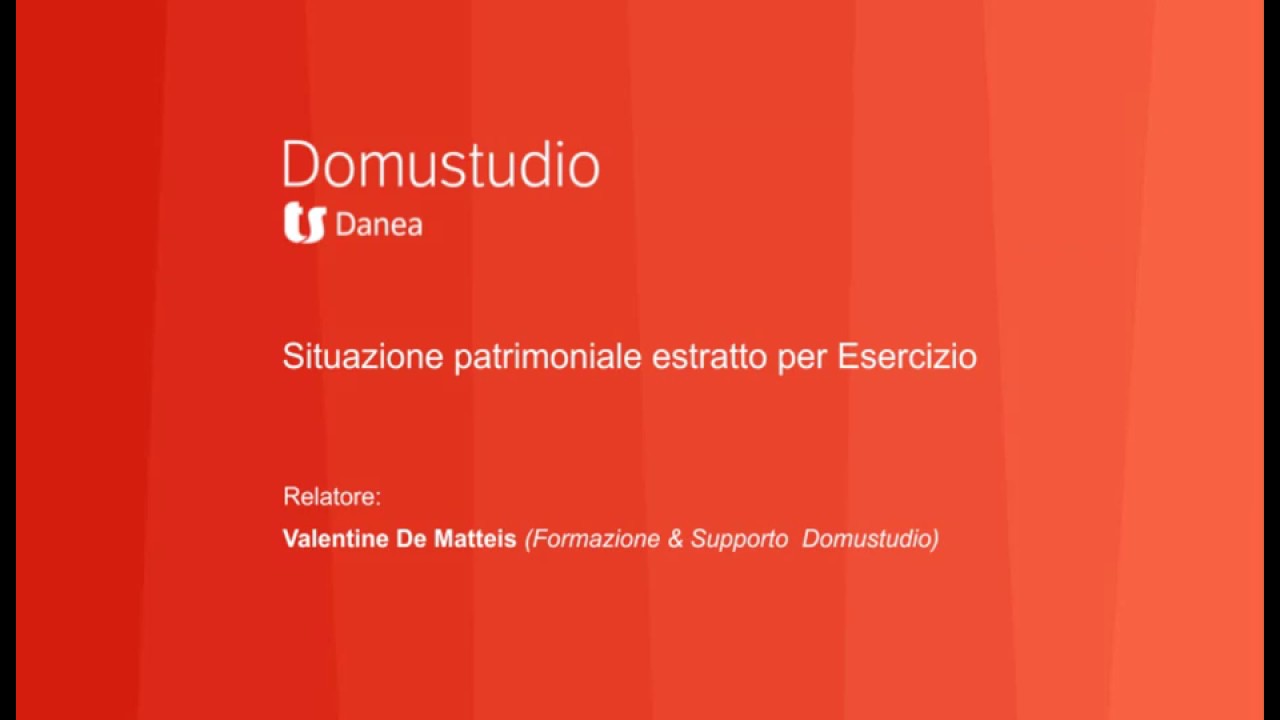Situazione patrimoniale ed estratto per esercizio - Danea Domustudio