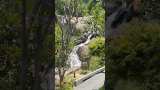 #blog #travel #trip #vacation #asiantravel #waterfall #chiangmai #vlogger #vlogs #walkthrough #blogs