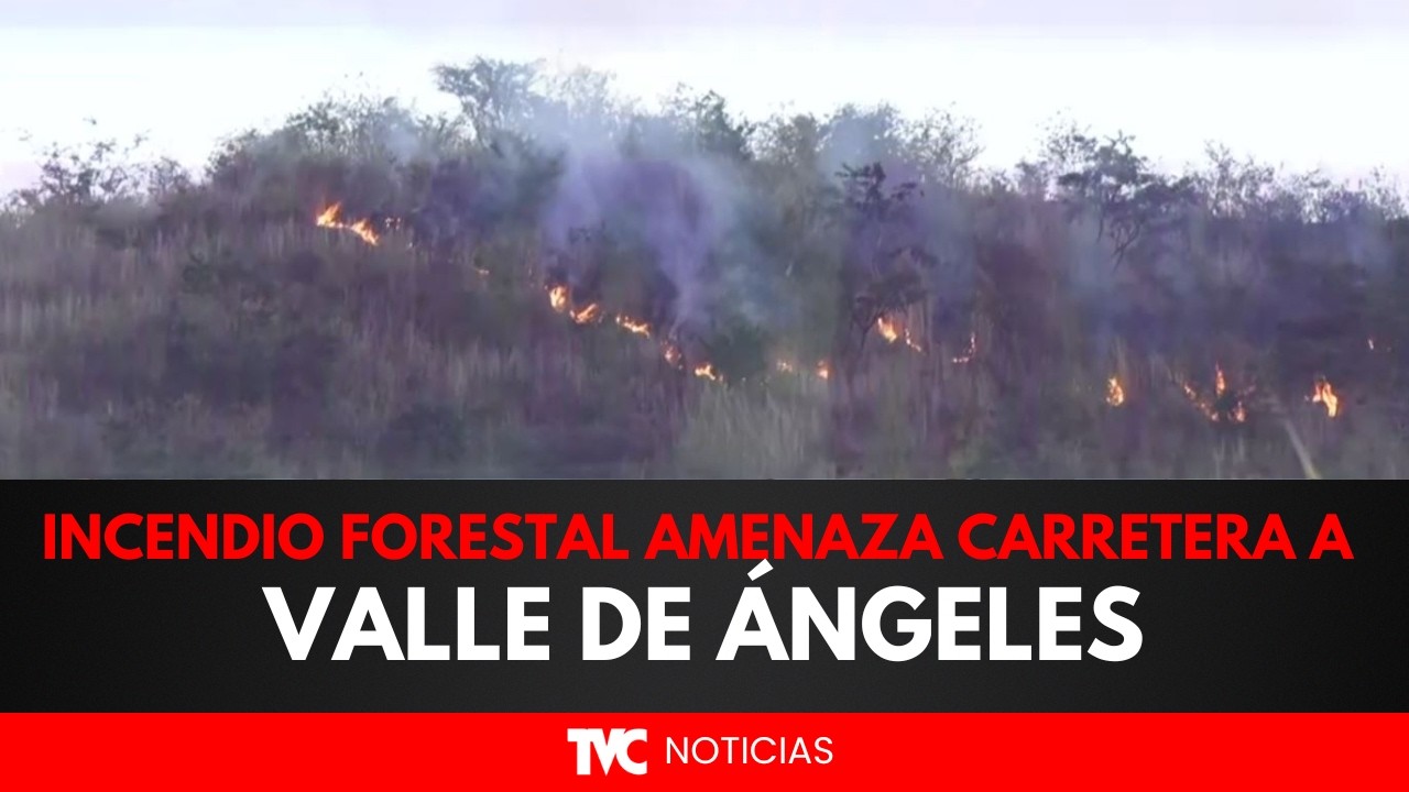 ¡ALERTA! Incendio forestal de gran magnitud amenaza la carretera hacia Valle de Ángeles