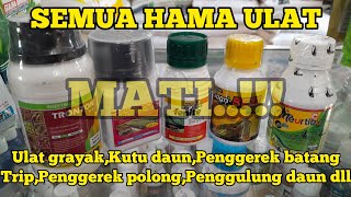 5 INSEKTISIDA UNTUK BASMI BERBAGAI HAMA ULAT,BERBAHAN AKTIF EMAMEKTIN BENZOAT