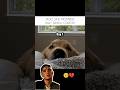 #youtube #youtubeshorts #shortfeed #ytshorts #viralvideo #shorts