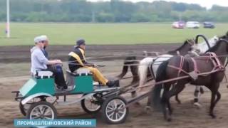 Азартный отдых Азартный отдых