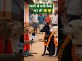 काले कुत्ते से सदी कैसे कर लि #ai #funny #funnyvideo #freefire