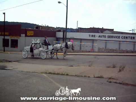 Horse Drawn Carriage -- Wedding Carriage -- Cinderella Carriage 19b -- Carriage LimWedding Salonsine Service