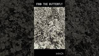 EYE TEST - can you see the butterfly in the picture? - PERCEPTION TEST #observation