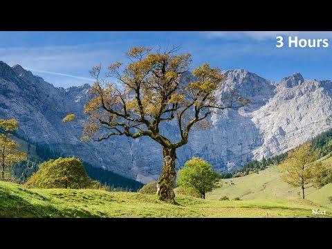 Relaxing Harp Music: Sleep, Meditation & Relaxation | Instrumental Background Music