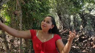 Ese Es El Lugar En Donde Sufrió La Cahida Deisy Casi Llorab4