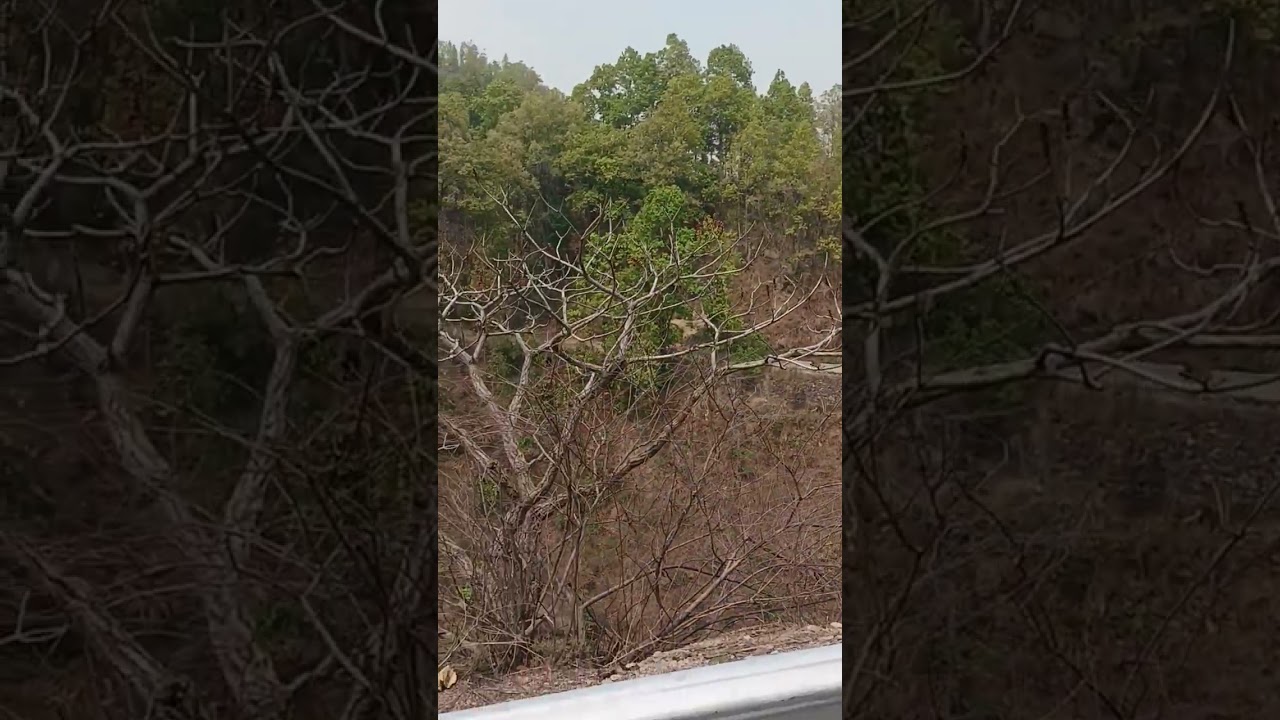 Jugni 2.0Song by Iyan Rose, Kanika Kapoor, and Mumzy Stranger ‧ 2020 