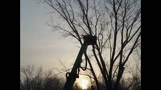 Abler Tree Company Outperforms the Competition