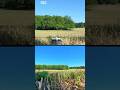 décollage manuel dji neo #dji